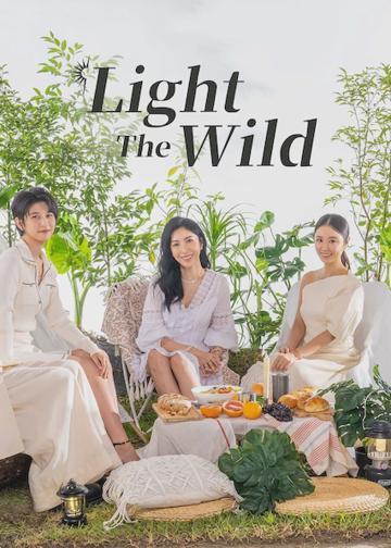 Light the Wild poszter