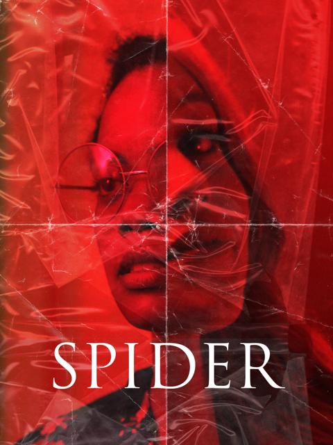 Movie poster for Spider