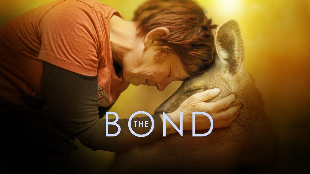 Background image for The Bond
