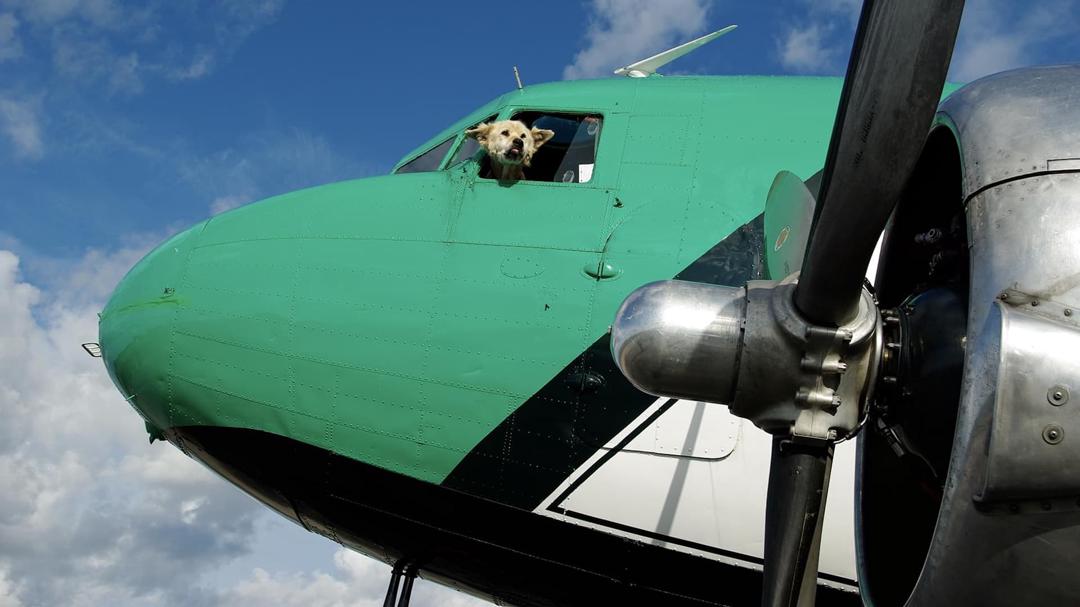 Background image for Ice Pilots NWT