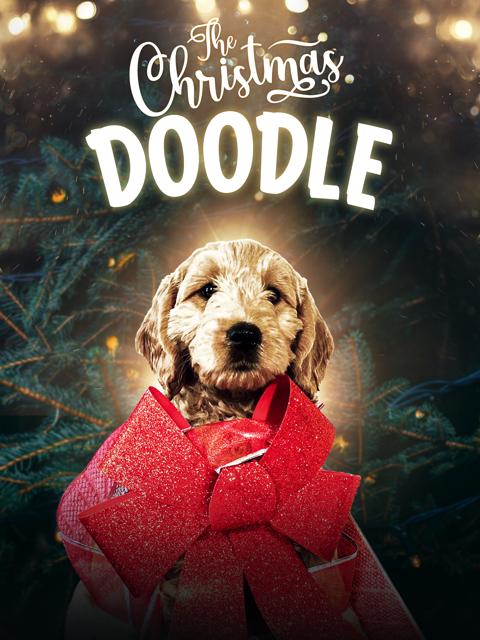 Movie poster for The Christmas Doodle