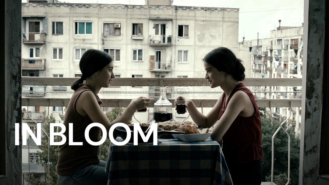 Background image for In Bloom