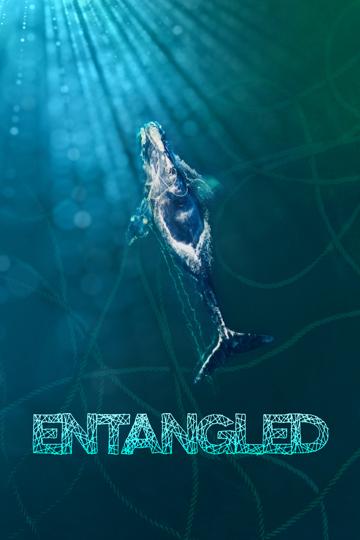 Entangled poszter