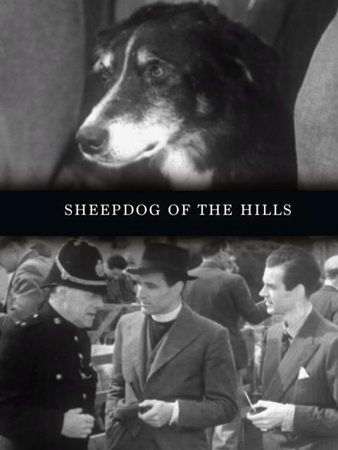 Movie poster for Sheepdog of the Hills