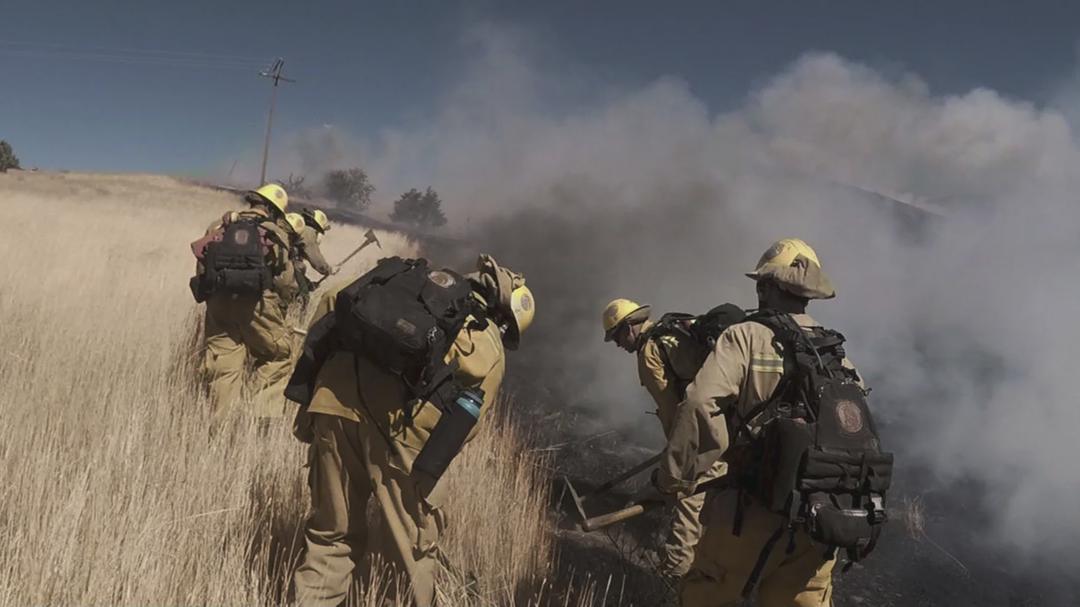 Background image for Fire Chasers