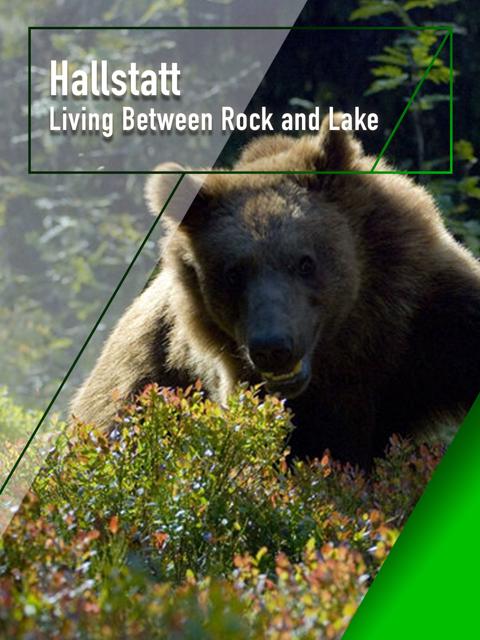 Poster för High Tatras – Wilderness Frozen in Time