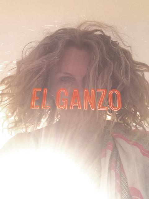 Movie poster for El Ganzo