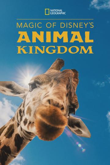 Magic of Disney's Animal Kingdom poszter