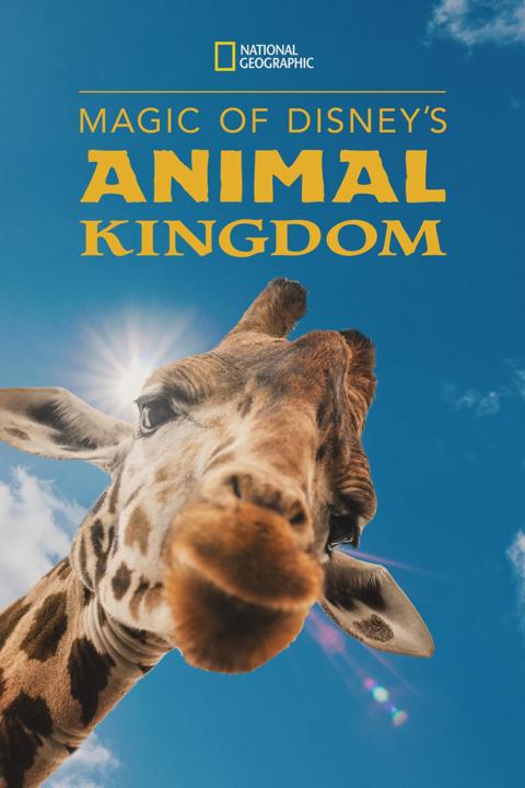 Poster för Magic of Disney's Animal Kingdom