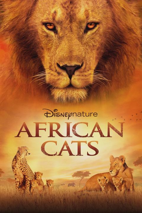 African Cats