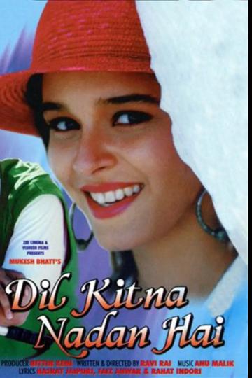 Dil Kitna Nadan Hai poszter