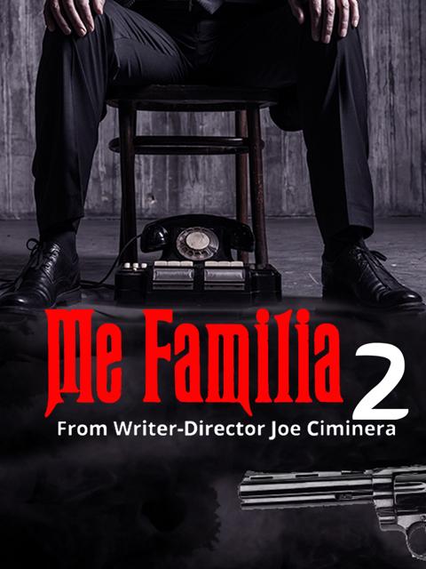 Movie poster for Me Familia 2