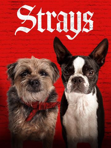 Strays