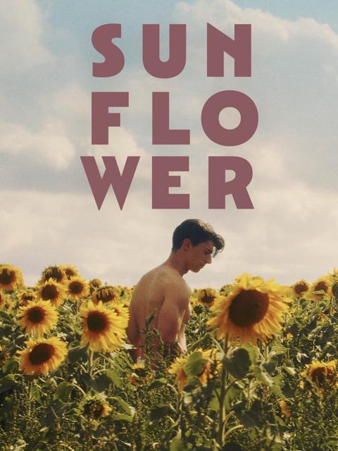 Movie poster for Sunflower