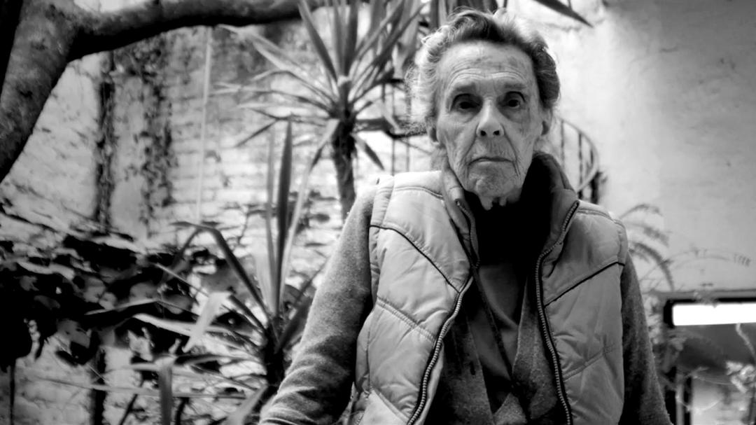 Background image for Leonora Carrington: The Lost Surrealist