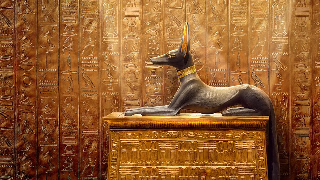 Background image for King Tut: A Century of Secrets