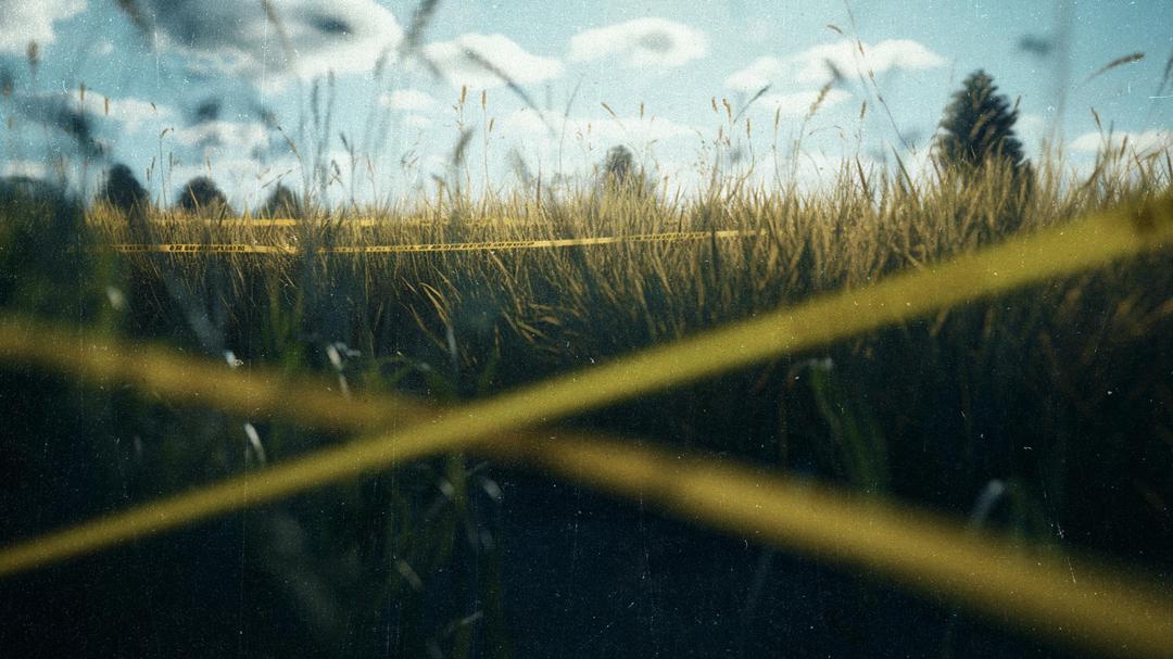 Background image for Murder in the Heartland