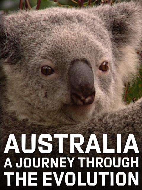 Series poster for 72 Dangerous Animals: Australia
