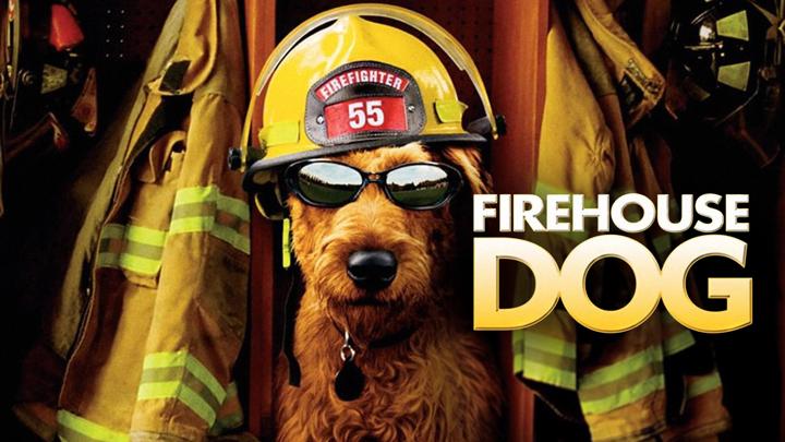 Poster of Firehouse Dog