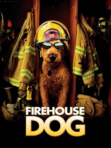 Firehouse Dog poster