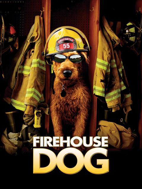 Firehouse Dog