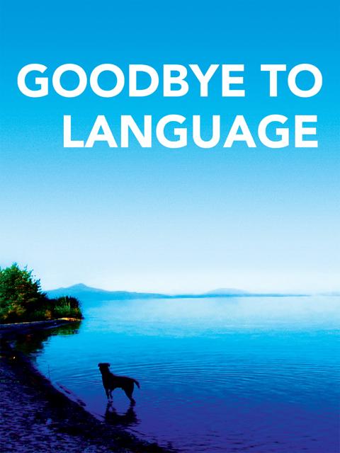 Movie poster for Goodbye to Language