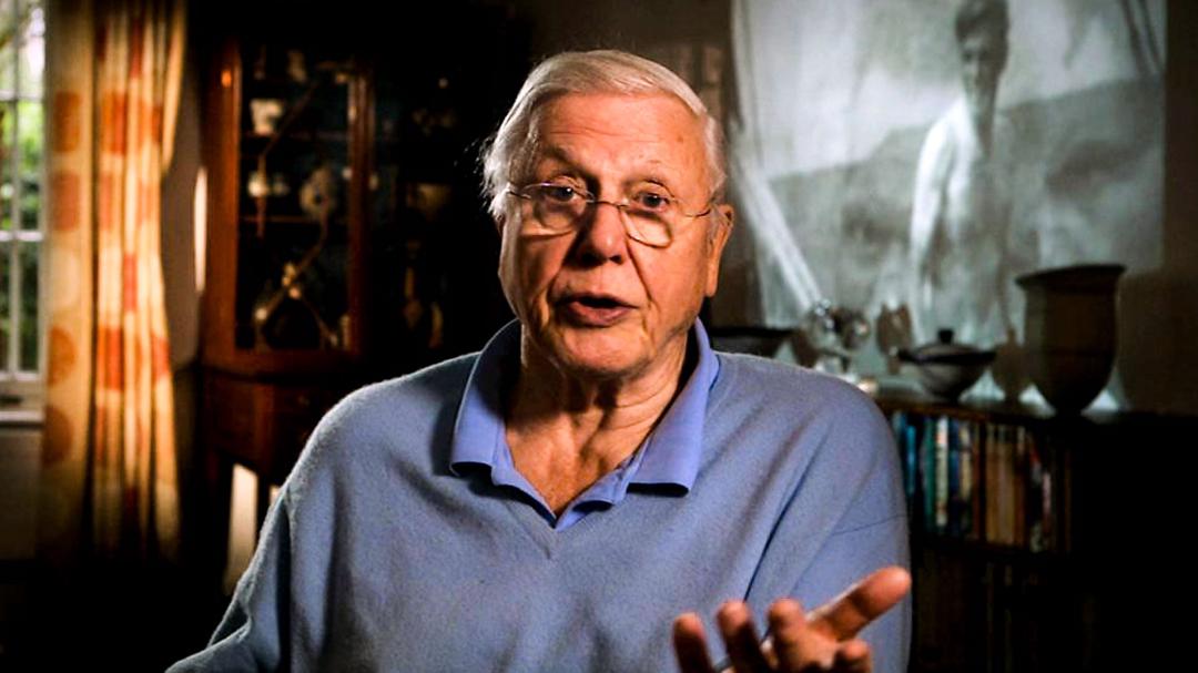 Background image for David Attenborough: The Early Years