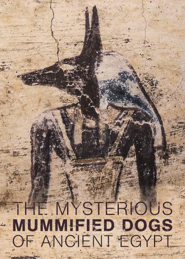 The Mysterious Mummified Dogs of Ancient Egypt poszter