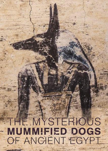 Poster för The Mysterious Mummified Dogs of Ancient Egypt