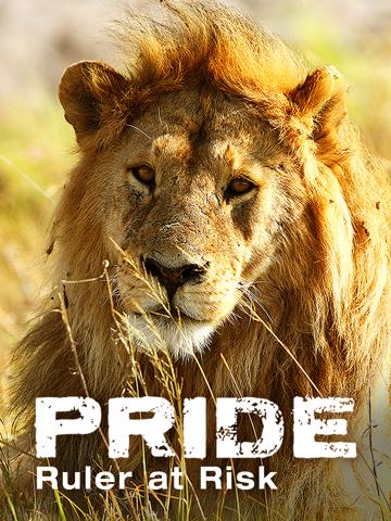 Pride Ruler at Risk poszter