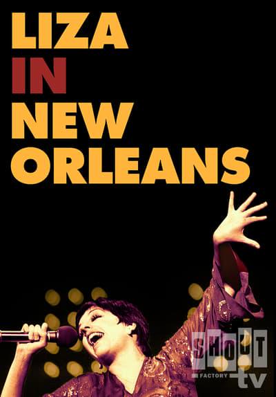 Movie poster for An Evening with Liza Minnelli