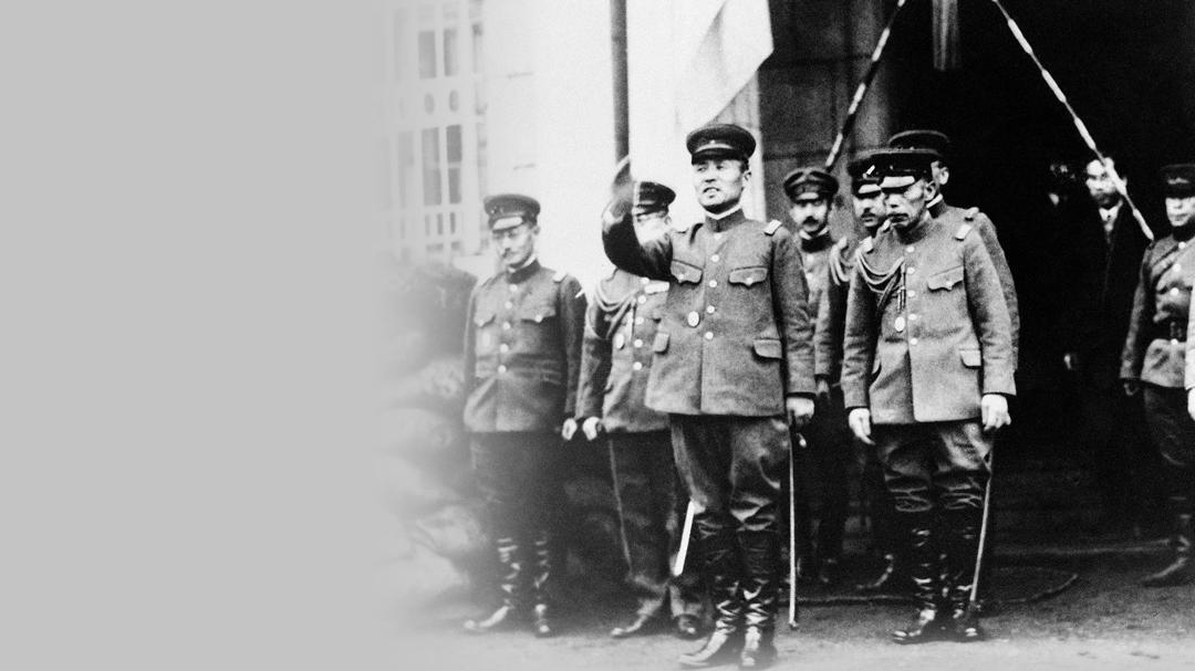Background image for The Dictator's Playbook