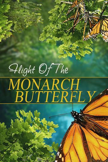 Flight of the Monarch Butterfly poszter