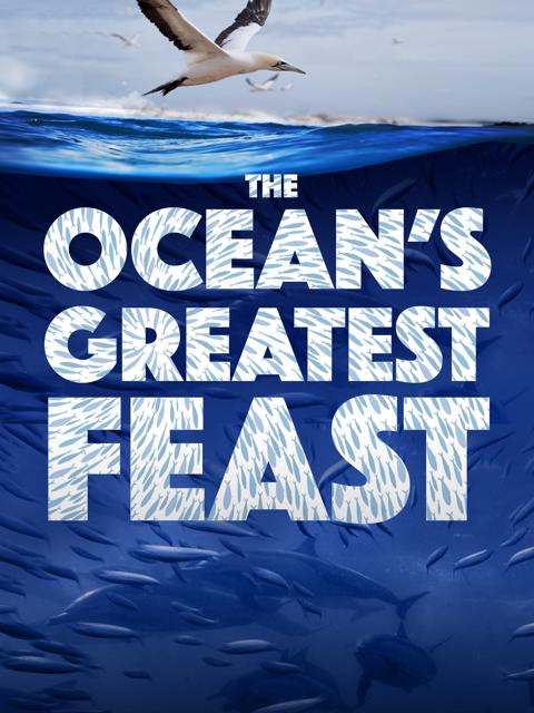 Movie poster for The Ocean’s Greatest Feast