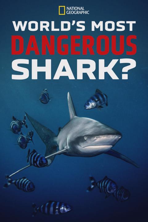 Poster för World's Most Dangerous Shark?
