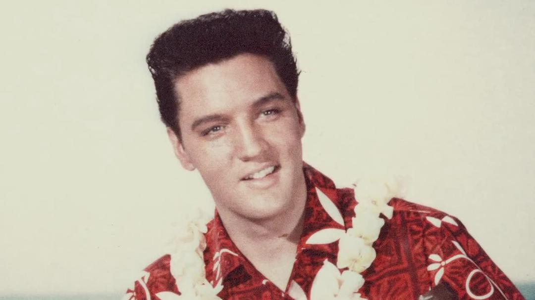 Background image for The Last 24 Hours: Elvis Presley