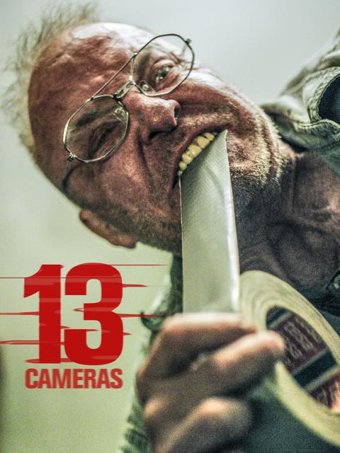 13 Cameras