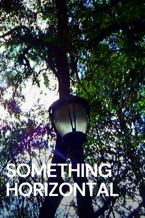 Movie poster for Something Horizontal