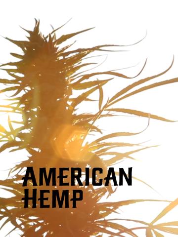 American Hemp poszter