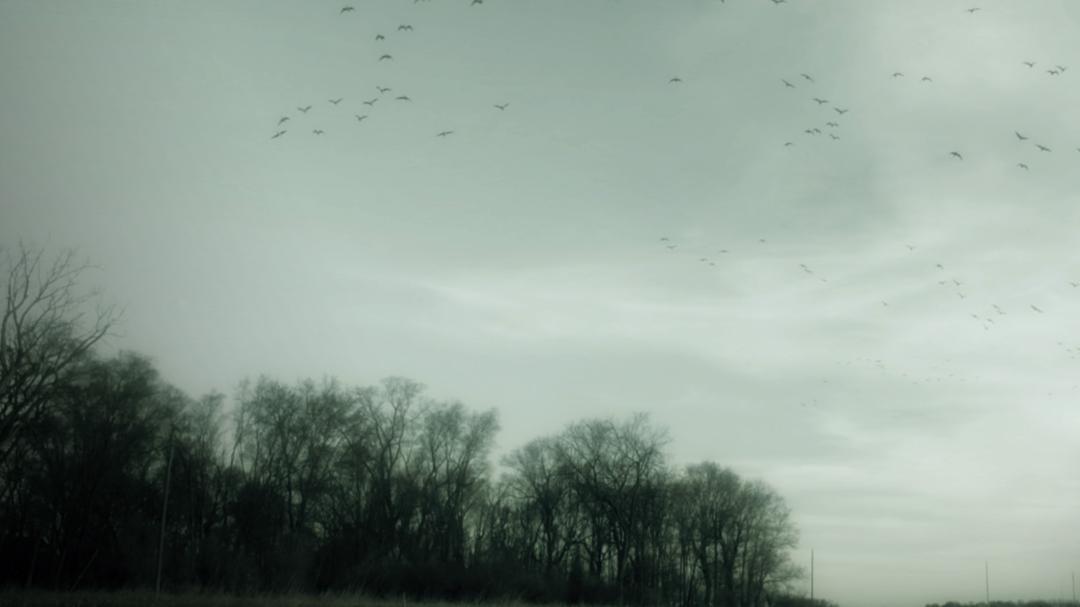 Background image for Gone: The Forgotten Women of Ohio