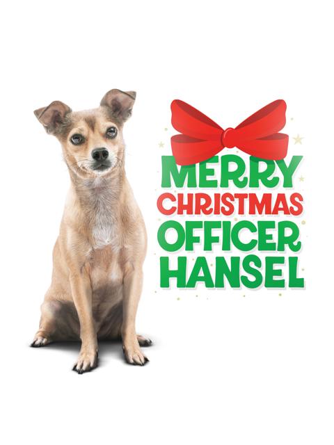 Movie poster for Merry Christmas Officer Hansel