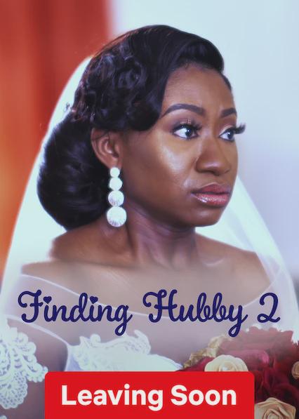 Poster för Finding Hubby 2