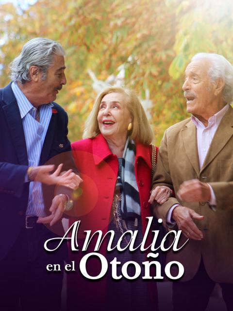 Poster för Amalia in the fall