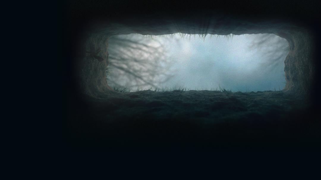 Background image for Grave Secrets