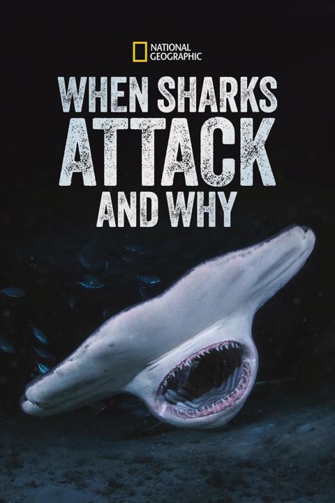 Poster för When Sharks Attack... and Why