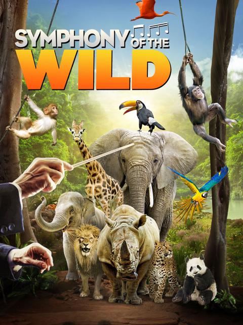 Movie poster for Symphony of the Wild