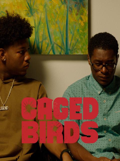 Movie poster for Caged Birds