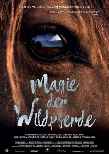 Magic of the Wild Horses poszter