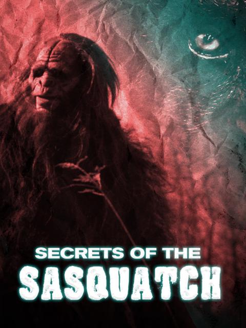 Movie poster for Secrets of the Sasquatch