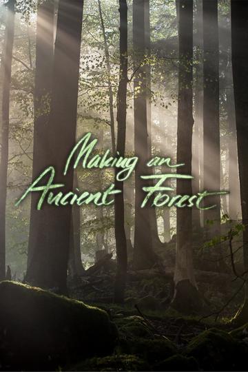 Making An Ancient Forest - Kalkalpen National Park poszter